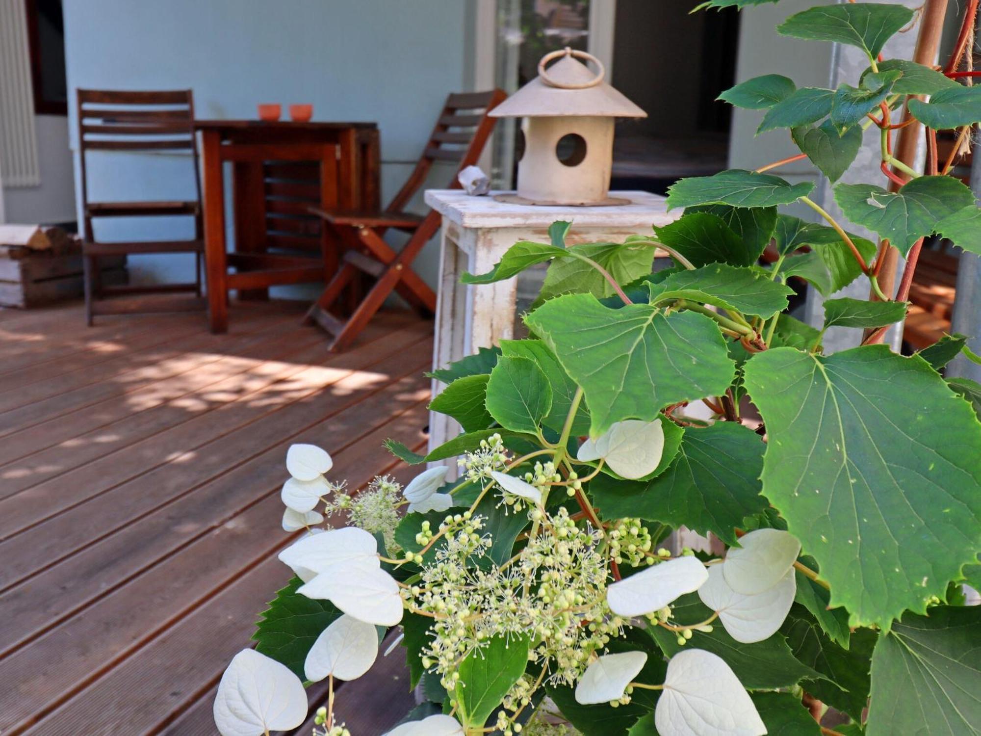 Modern Apartment With Garden In Wißmar Eksteriør bilde
